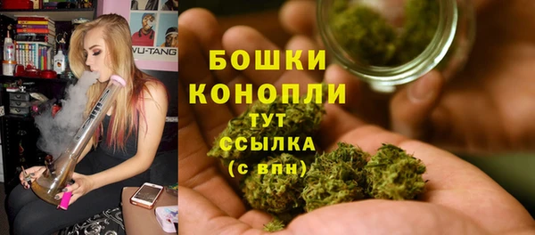 мет Арсеньев